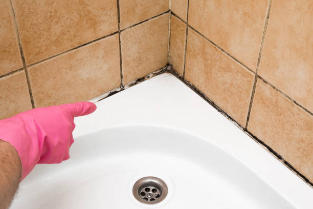 Best Mold Testing  in Peekskill, NY